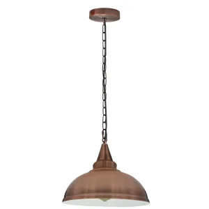 Vintage Industrial Retro Ceiling Pendant Metal Lamp Shade ~4346